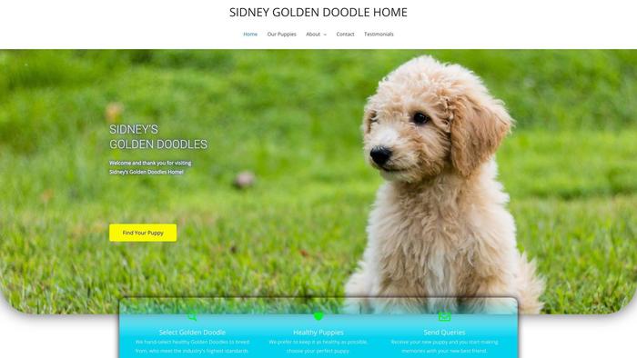 Sidneygoldendoodlehome.com - Golden Doodle Puppy Scam Review