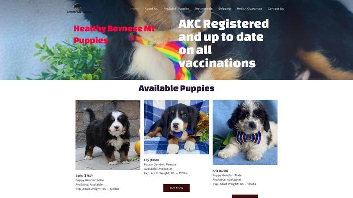 Smartbernesemountainpupps.com - Bernese Mountain Dog Puppy Scam Review