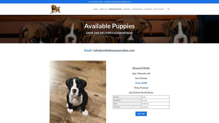 Smithsboxerparadise.com - Boxer Puppy Scam Review