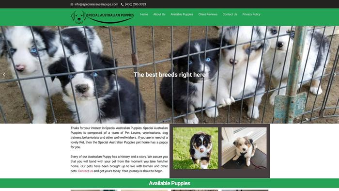 Specialassussiepups.com - Australian Shepherd Puppy Scam Review