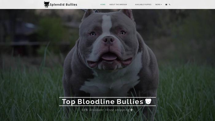 Splendidbullies.com - English Bulldog Puppy Scam Review