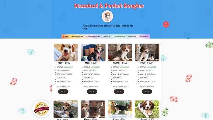 Standardrunners.com - Beagle Puppy Scam Review