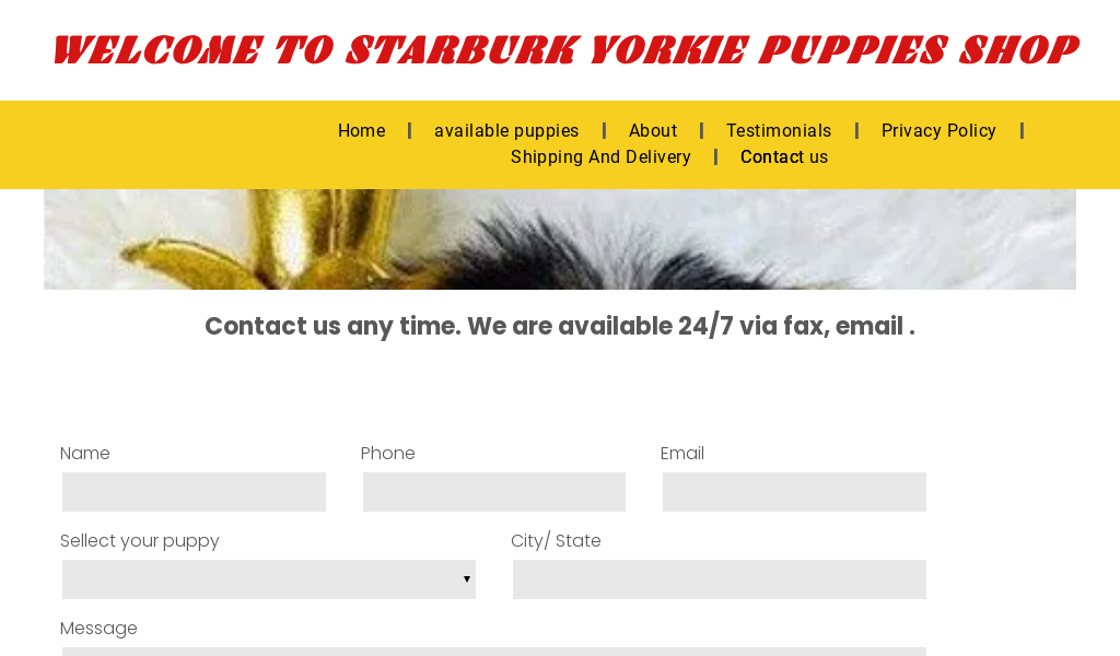 Starburkyork.com - Yorkshire Terrier Puppy Scam Review