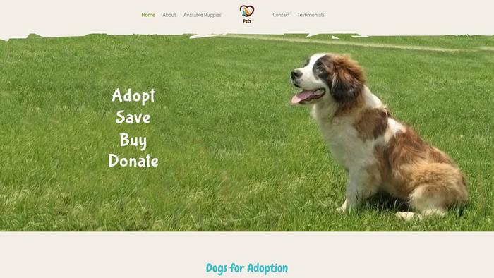 Stbernardspuppies.com - Saint Bernard Puppy Scam Review