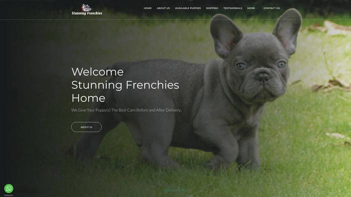 Stunningfrenchies.com - French Bulldog Puppy Scam Review