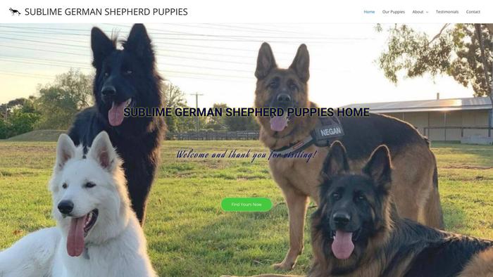 Sublimegermanshepherdpuppies.com - Germanshepherd Puppy Scam Review