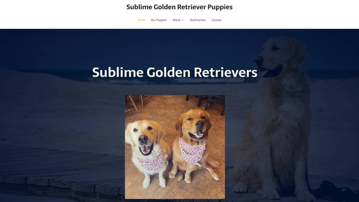 Sublimegoldenretrieverpuppies.com - Golden Retriever Puppy Scam Review