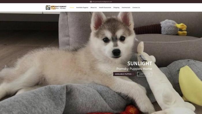 Sunlightposmkypuppies.com - Pomsky Puppy Scam Review