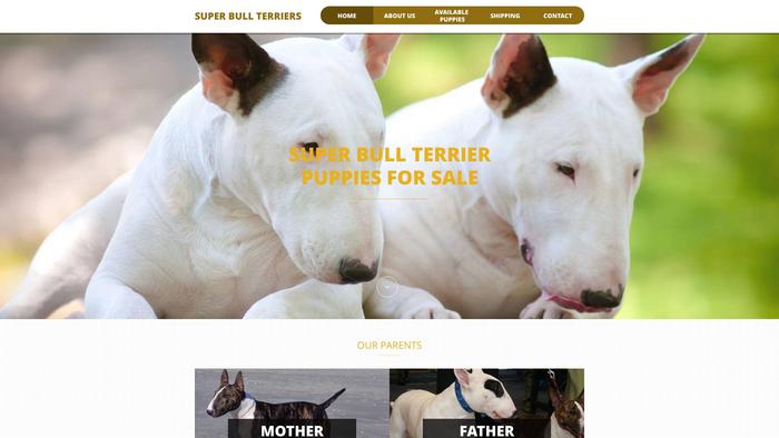 Superbullterriers.com - Terrier Puppy Scam Review