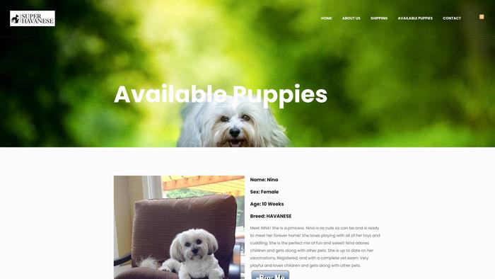 Superhavanesepuppies.com - Havanese Puppy Scam Review