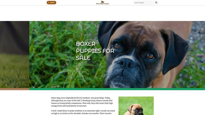 Sweetboxerpuppies.com - Boxer Puppy Scam Review