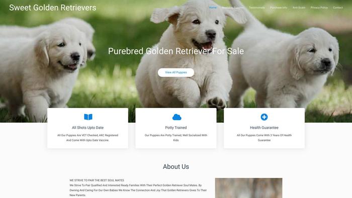 Sweetgoldenretrievers.com - Golden Retriever Puppy Scam Review