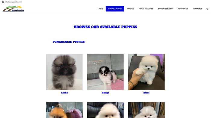 Teacupparadise.com - Yorkshire Terrier Puppy Scam Review