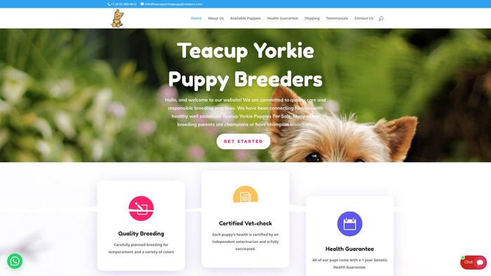 Teacupyorkiepuppybreeders.com - Yorkshire Terrier Puppy Scam Review