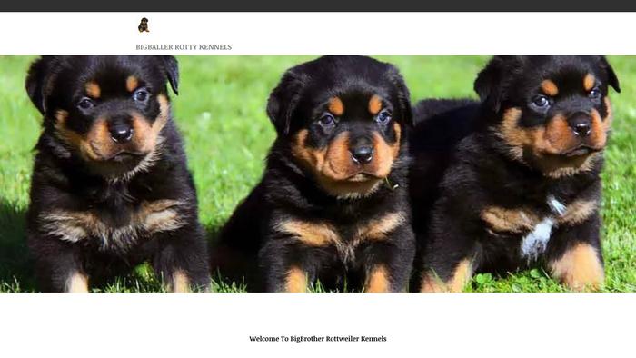 Thebigballers.com - Rottweiler Puppy Scam Review