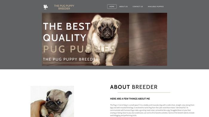 Thepugpuppybreeder.com - Pug Puppy Scam Review