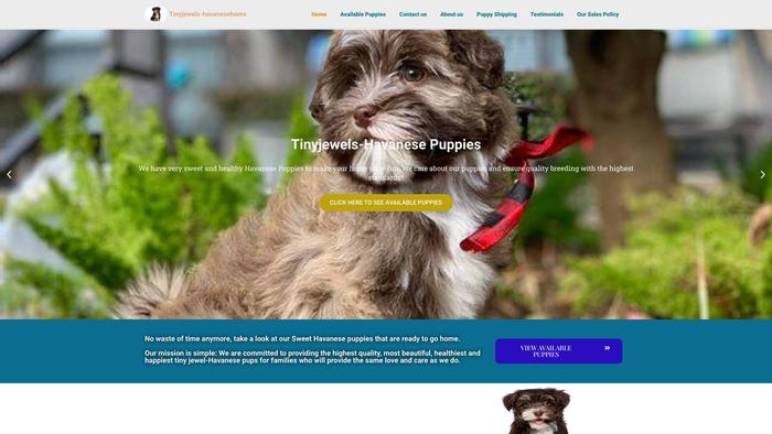 Tinyjewels-havanesehome.com - Havanese Puppy Scam Review