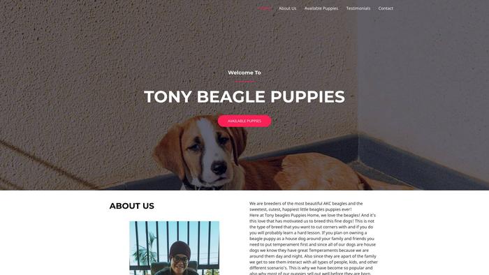 Tonybeagles.com - Beagle Puppy Scam Review