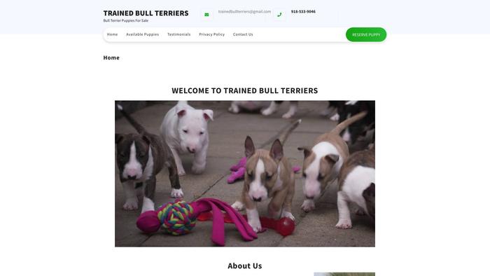 Trainedbullterriers.com - Terrier Puppy Scam Review