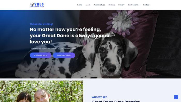 Valsgreatdanepups.com - Great Dane Puppy Scam Review