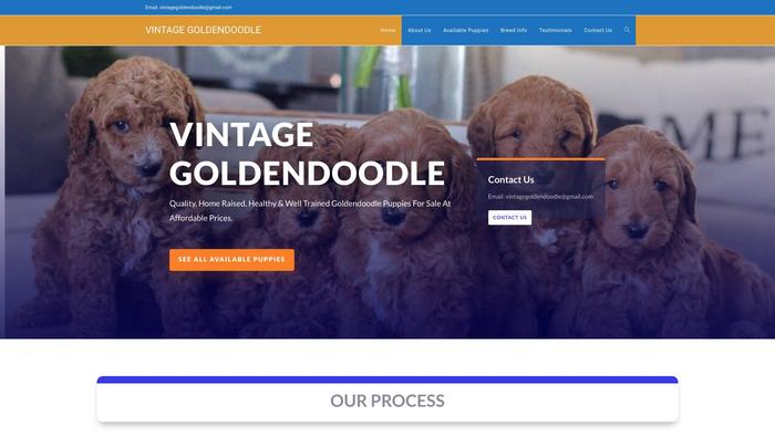 Vintagegoldendoodle.com - Golden Doodle Puppy Scam Review