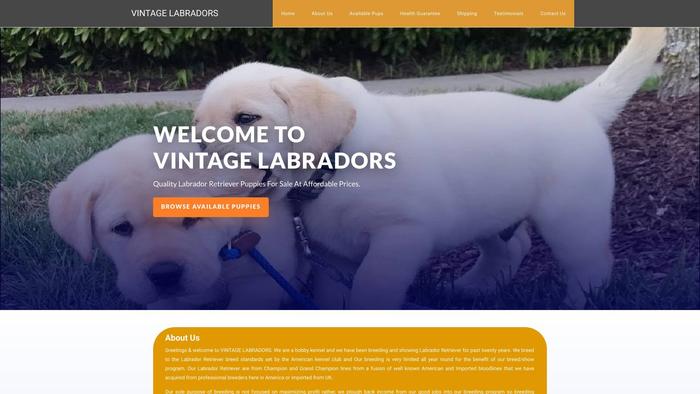 Vintagelabradors.com - Golden Retriever Puppy Scam Review