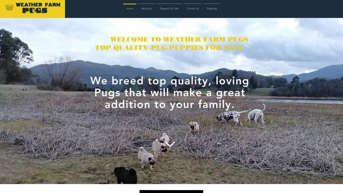 Weatherfarmpugs.com - Pug Puppy Scam Review