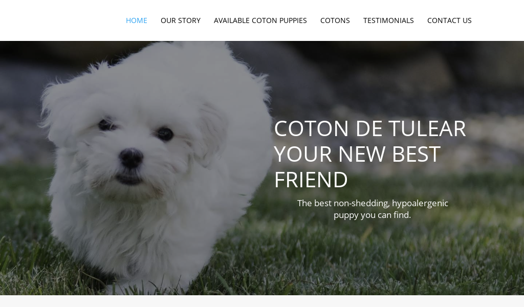 Whitegalaxycotons.com - Coton De Tulear Puppy Scam Review