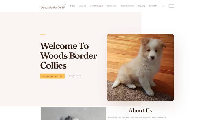 Woodsbordercollies.com - Bordercollie Puppy Scam Review