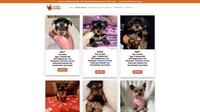 Yorkiesfamily.com - Bernedoodle Puppy Scam Review