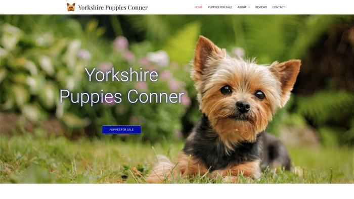 Yorkshirepuppiesconner.com - Yorkshire Terrier Puppy Scam Review