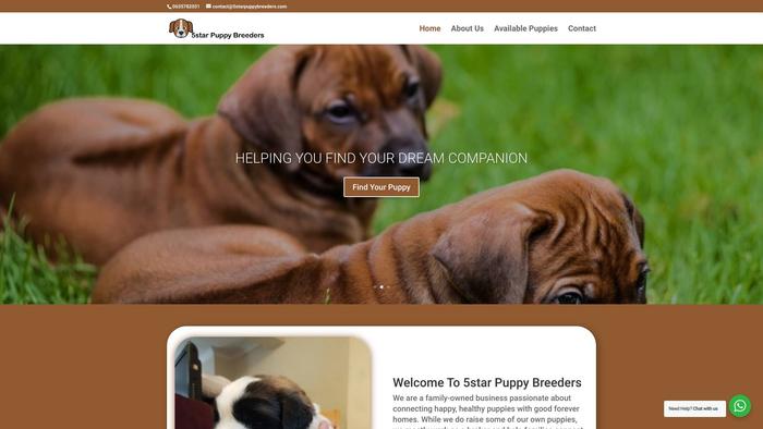 5starpuppybreeders.com - Bernese Mountain Dog Puppy Scam Review