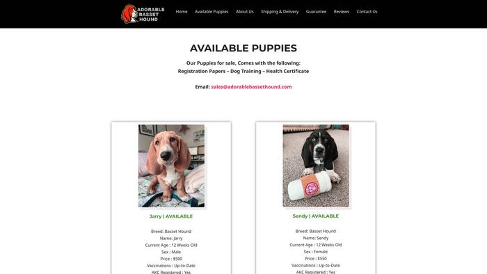 Adorablebassethound.com - Bassethound Puppy Scam Review