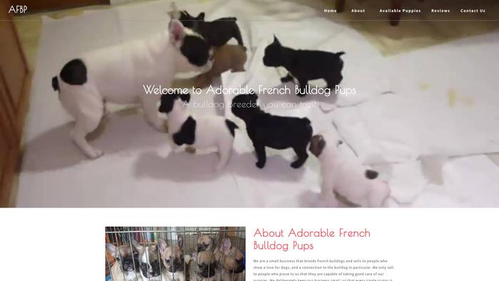 Adorablefrenchbulldogpups.com - French Bulldog Puppy Scam Review