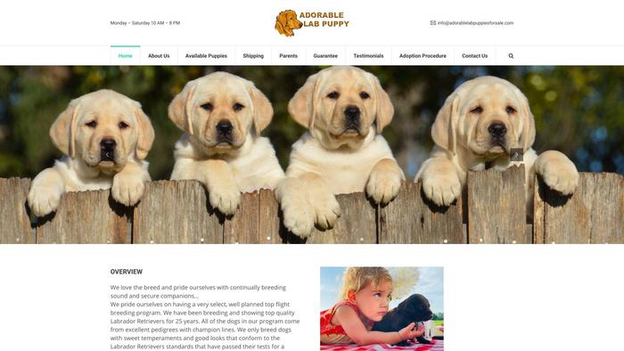 Adorablelabpuppiesforsale.com - Labrador Puppy Scam Review