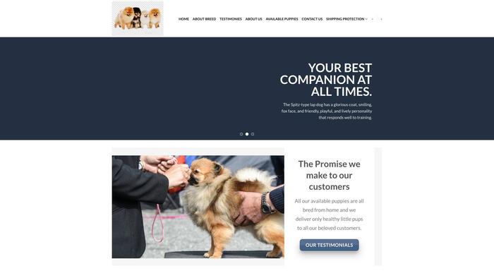 Adorablepompuppies.com - Pomeranian Puppy Scam Review