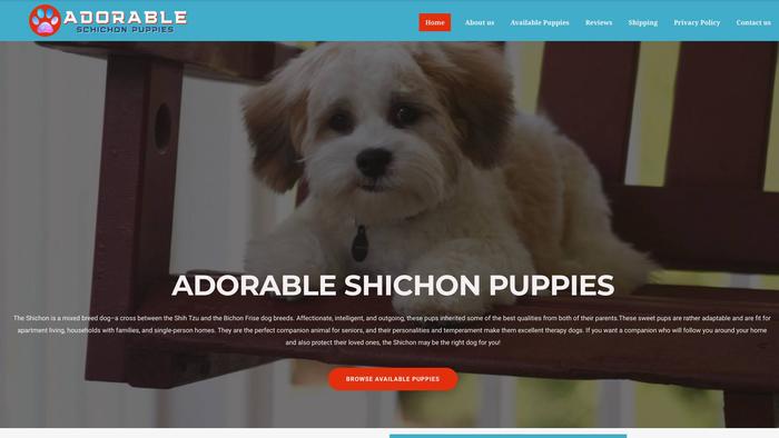 Adorableshichonpuppies.com - Shichon Puppy Scam Review