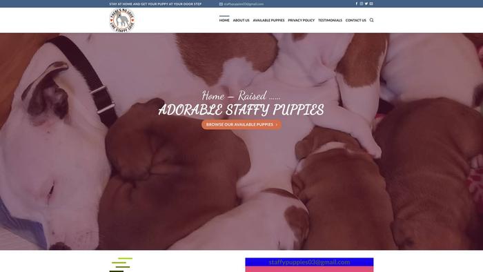 Adorablestaffiepuppies.com - Terrier Puppy Scam Review