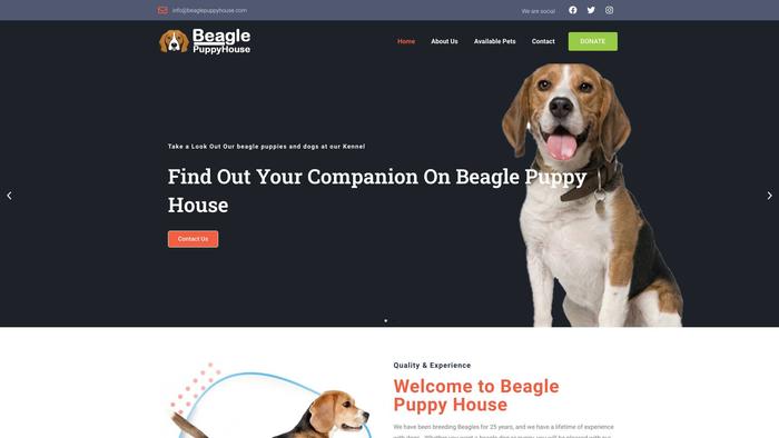 Akcbeaglepuppies.com - Beagle Puppy Scam Review