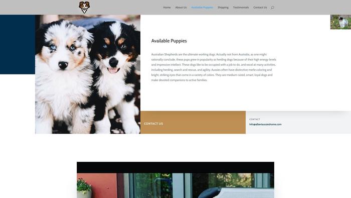 Albertaussieshome.com - Australian Shepherd Puppy Scam Review