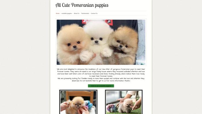 Allcutepomeranianpups.com - Pomeranian Puppy Scam Review