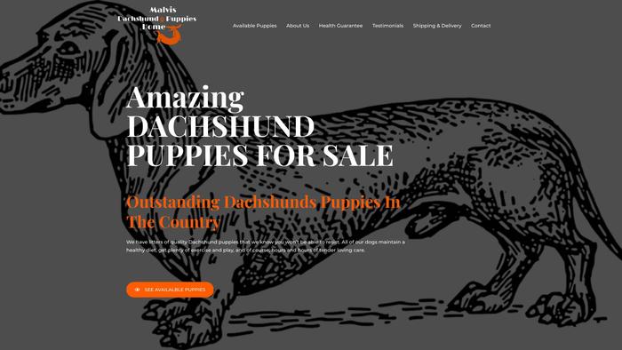 Amazingdachshundpuppies.com - Dachshund Puppy Scam Review