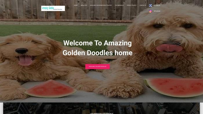 Amazinggolderndoodles.com - Golden Doodle Puppy Scam Review