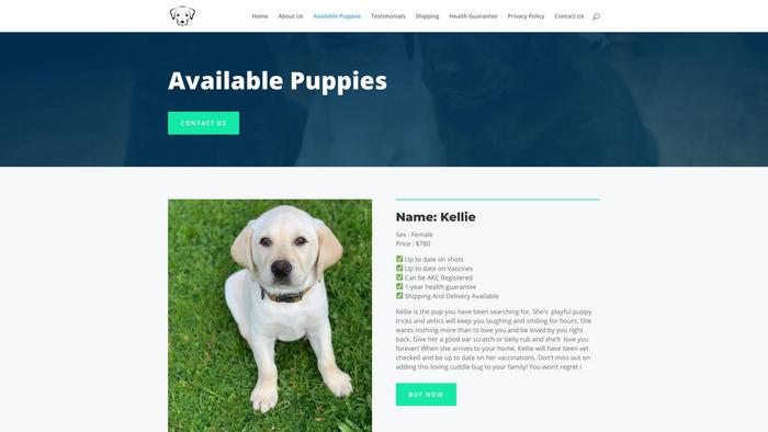 Amazinglabhome.com - Labrador Puppy Scam Review