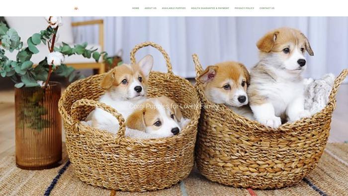 Amazingwelscorgihome.com - Corgi Puppy Scam Review