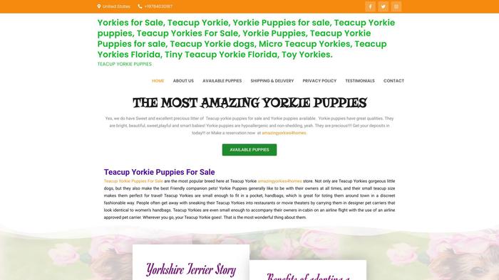 Amazingyorkies4homes.com - Yorkshire Terrier Puppy Scam Review