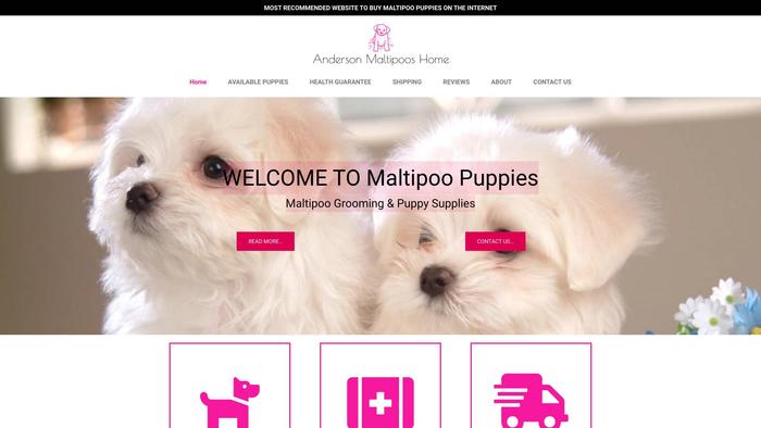 Andersonmaltipooshome.com - Maltipoo Puppy Scam Review