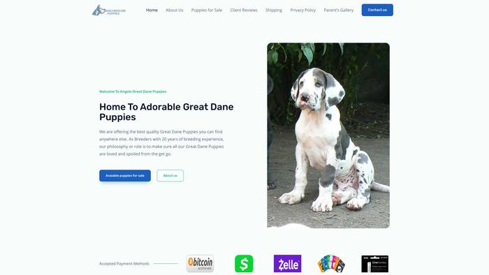 Angelsgreatdanepuppies.com - Great Dane Puppy Scam Review