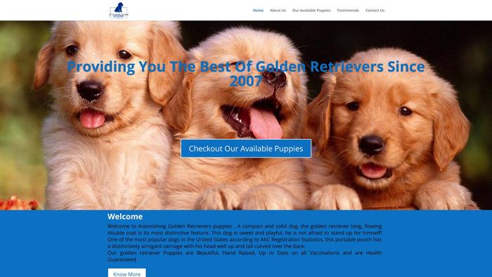 Astonishinggoldenretrievers.com - Golden Retriever Puppy Scam Review