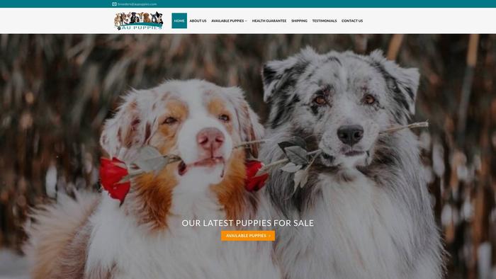 Aupuppies.com - Australian Shepherd Puppy Scam Review